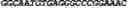 Fig. 28 - CIRCULAR POLYNUCLEOTIDES