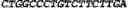 Fig. 29 - CIRCULAR POLYNUCLEOTIDES