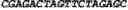 Fig. 32 - CIRCULAR POLYNUCLEOTIDES