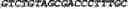 Fig. 44 - CIRCULAR POLYNUCLEOTIDES