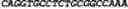 Fig. 46 - CIRCULAR POLYNUCLEOTIDES