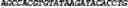 Fig. 47 - CIRCULAR POLYNUCLEOTIDES