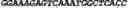 Fig. 50 - CIRCULAR POLYNUCLEOTIDES