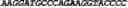 Fig. 52 - CIRCULAR POLYNUCLEOTIDES