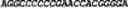 Fig. 56 - CIRCULAR POLYNUCLEOTIDES