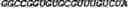 Fig. 64 - CIRCULAR POLYNUCLEOTIDES
