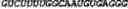 Fig. 66 - CIRCULAR POLYNUCLEOTIDES