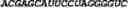 Fig. 68 - CIRCULAR POLYNUCLEOTIDES