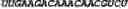 Fig. 72 - CIRCULAR POLYNUCLEOTIDES