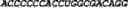 Fig. 74 - CIRCULAR POLYNUCLEOTIDES