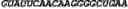 Fig. 80 - CIRCULAR POLYNUCLEOTIDES