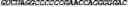Fig. 85 - CIRCULAR POLYNUCLEOTIDES