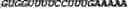 Fig. 86 - CIRCULAR POLYNUCLEOTIDES