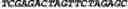 Fig. 89 - CIRCULAR POLYNUCLEOTIDES