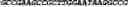Fig. 92 - CIRCULAR POLYNUCLEOTIDES