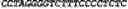 Fig. 97 - CIRCULAR POLYNUCLEOTIDES