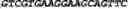 Fig. 99 - CIRCULAR POLYNUCLEOTIDES