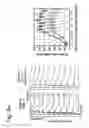Fig. 06 - Recombinant AAV-crumbs homologue composition and methods for treating LCA-8 and progressive RP