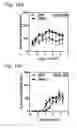 Fig. 15 - Recombinant AAV-crumbs homologue composition and methods for treating LCA-8 and progressive RP