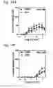 Fig. 17 - Recombinant AAV-crumbs homologue composition and methods for treating LCA-8 and progressive RP