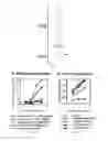 Fig. 03 - Engineering antiviral T cell immunity through stem cells and chimeric antigen receptors