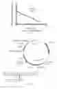 Fig. 12 - Engineering antiviral T cell immunity through stem cells and chimeric antigen receptors
