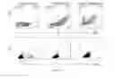 Fig. 14 - Engineering antiviral T cell immunity through stem cells and chimeric antigen receptors