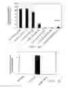 Fig. 05 - HEMATOPOIETIC CELL SELECTIN LIGAND POLYPEPTIDES AND METHODS OF USE THEREOF