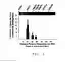Fig. 06 - HEMATOPOIETIC CELL SELECTIN LIGAND POLYPEPTIDES AND METHODS OF USE THEREOF