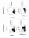 Fig. 30 - HEMATOPOIETIC CELL SELECTIN LIGAND POLYPEPTIDES AND METHODS OF USE THEREOF