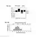 Fig. 33 - HEMATOPOIETIC CELL SELECTIN LIGAND POLYPEPTIDES AND METHODS OF USE THEREOF