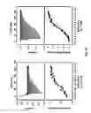 Fig. 04 - Crystal Structure of Staphylococcus Aureus Clumping Factor A in Complex with Fibrinogen Derived Peptide and Uses Thereof