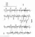Fig. 09 - Crystal Structure of Staphylococcus Aureus Clumping Factor A in Complex with Fibrinogen Derived Peptide and Uses Thereof
