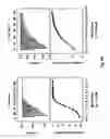 Fig. 13 - Crystal Structure of Staphylococcus Aureus Clumping Factor A in Complex with Fibrinogen Derived Peptide and Uses Thereof