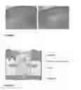 Fig. 05 - Regeneration of Damaged Tissue