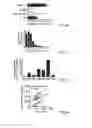 Fig. 06 - Means and methods for producing high affinity antibodies