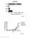 Fig. 07 - Means and methods for producing high affinity antibodies