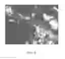 Fig. 03 - COMPOSITIONS AND METHODS FOR THE REMOVAL OF BIOFILMS