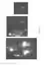 Fig. 05 - COMPOSITIONS AND METHODS FOR THE REMOVAL OF BIOFILMS
