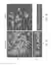 Fig. 07 - COMPOSITIONS AND METHODS FOR THE REMOVAL OF BIOFILMS