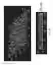 Fig. 14 - COMPOSITIONS AND METHODS FOR THE REMOVAL OF BIOFILMS