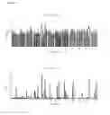 Fig. 05 - Antibody derivatives