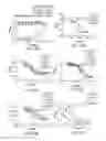 Fig. 35 - Antibody derivatives