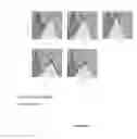 Fig. 10 - FC RECEPTOR BINDING PROTEINS