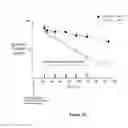 Fig. 23 - FC RECEPTOR BINDING PROTEINS