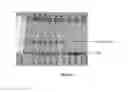 Fig. 25 - FC RECEPTOR BINDING PROTEINS