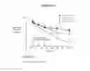 Fig. 30 - FC RECEPTOR BINDING PROTEINS