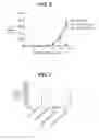 Fig. 04 - ANTI-TISSUE FACTOR ANTIBODIES AND COMPOSITIONS