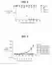Fig. 05 - ANTI-TISSUE FACTOR ANTIBODIES AND COMPOSITIONS