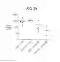 Fig. 19 - ANTI-TISSUE FACTOR ANTIBODIES AND COMPOSITIONS
